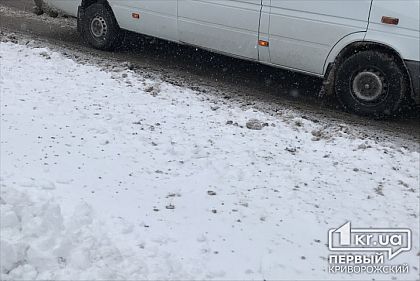 В Кривом Роге в ДТП попали маршрутка и легковушка