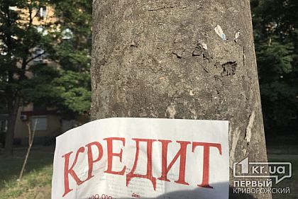 Криворожанок судят за оформление фиктивных кредитов на других людей