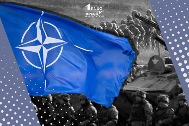 Популярність і відповідність стандартам. Шлях України до НАТО