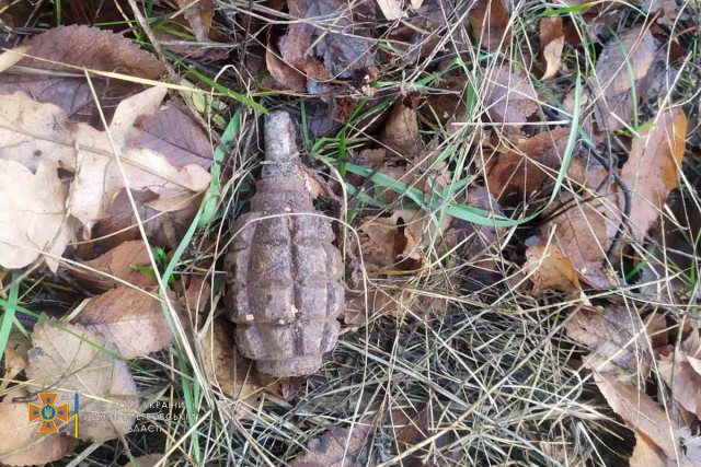 В лесополосе Криворожского района мужчина искал грибы и нашел гранату