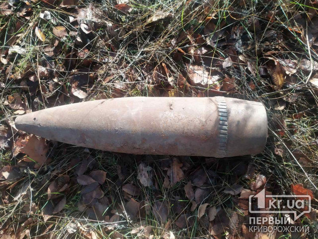 В Кривом Роге на выходных нашли устаревшие боеприпасы