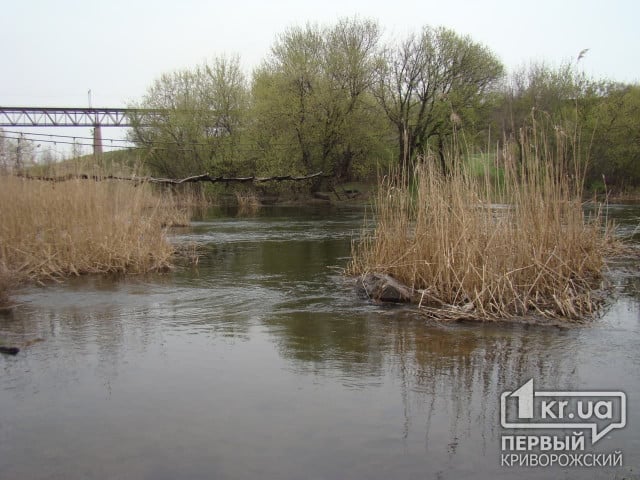 Погода в Кривом Роге 20 ноября