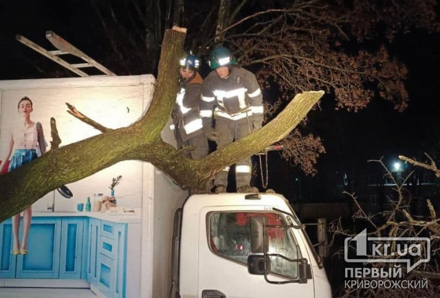В Кривом Роге дерево упало на грузовик