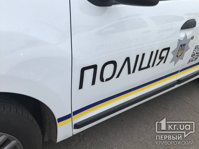 Полиция Кривого Рога задержала двух мужчин за угон автомобиля и мотоцикла
