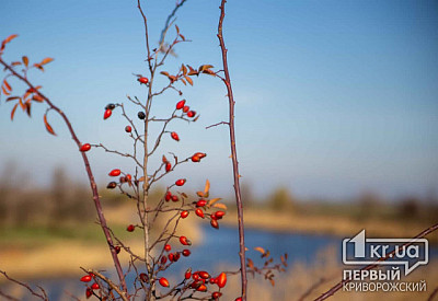 Фото к новости Главное фото новости