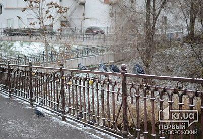 Фото к новости Главное фото новости
