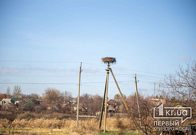 Фото к новости Главное фото новости