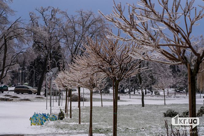 обледенелые деревья зима мороз сквер