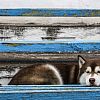 Фото
