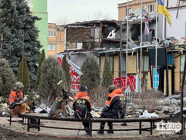 кінологи собаки рятівники