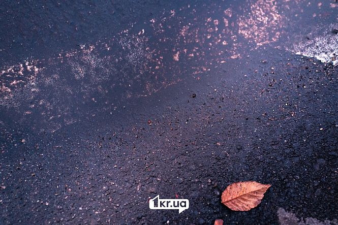 калюжа осінь 