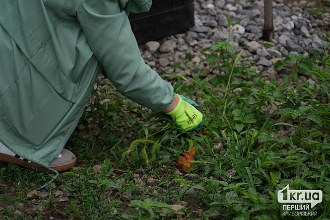 горожане убирают на секторе почетных захоронений