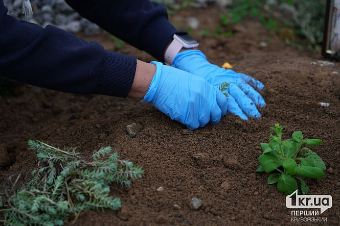 горожане убирают на секторе почетных захоронений
