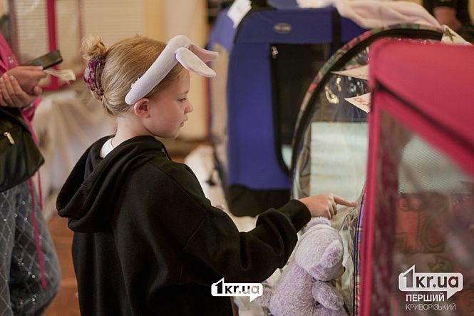 посетители выставки кошек