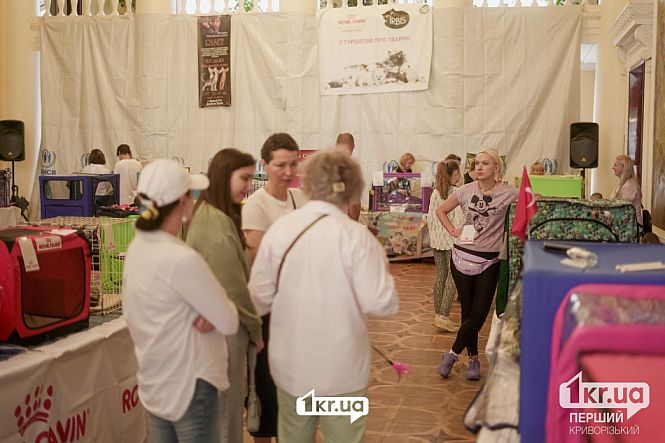 посетители выставки кошек