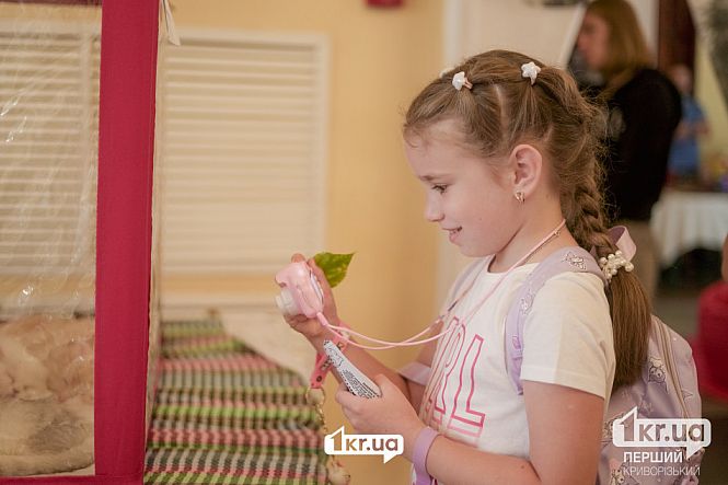 посетители выставки кошек