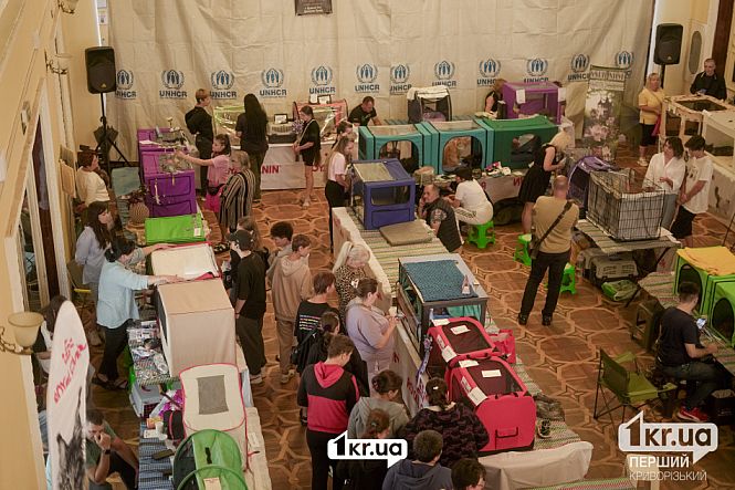 посетители выставки кошек