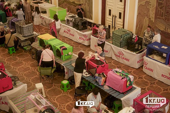 посетители выставки кошек