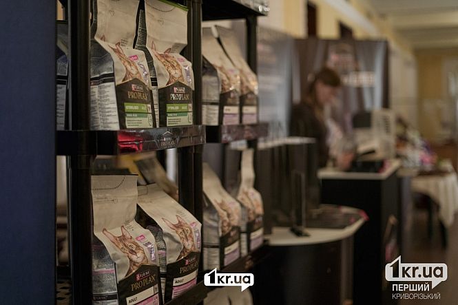 выставка кошек пк мистецкий