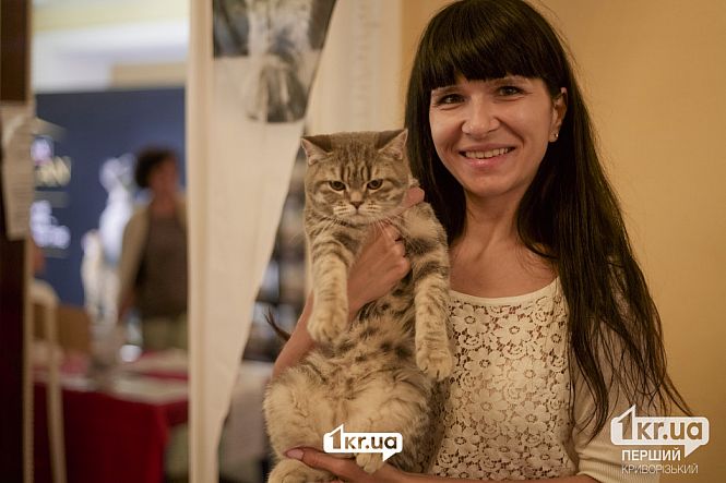 владельцы кошек и котов