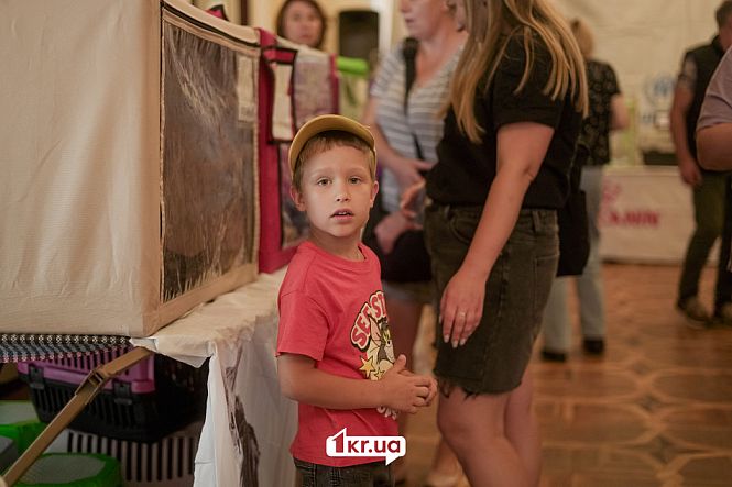 посетители выставки кошек