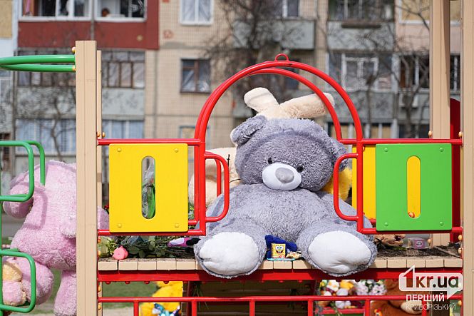 заполненная игрушками детская площадка кривой рог