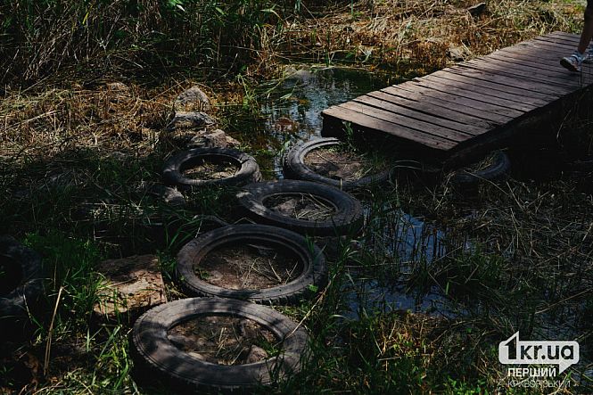 природа Кривой Рог красиво