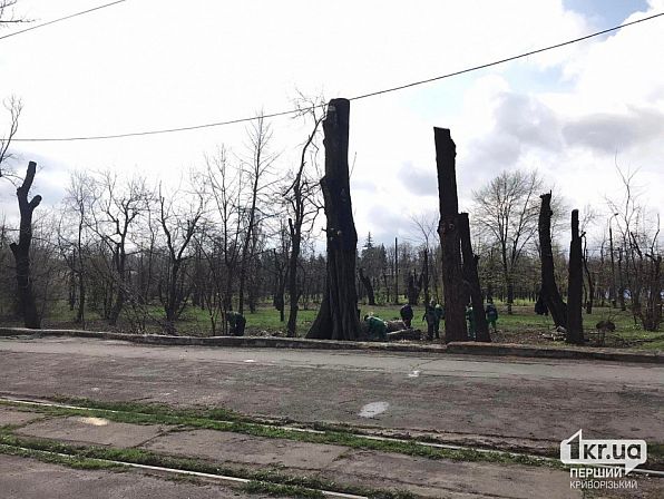 Большое фото