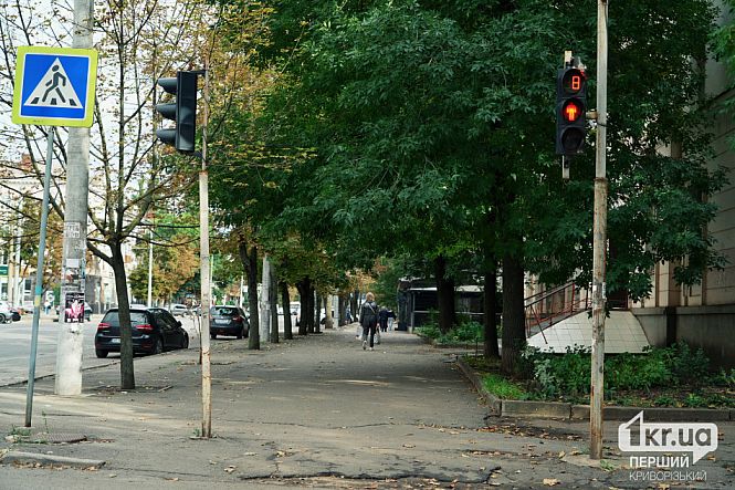 Аллея деревьев на улице Кривого Рога возле пешеходного перехода