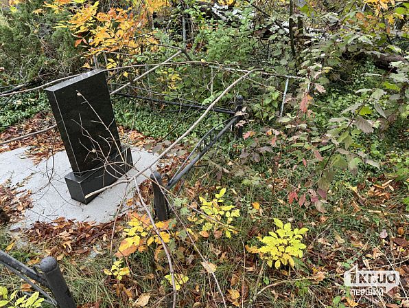 Надгробний пам'ятник та огорожа серед гілок і чагарників на Центарльному кладовищі Кривого Рогу