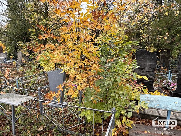 Центральне кладовище Кривого Рогу — пам'ятники, огорожі та могильні столики серед густих чагарників