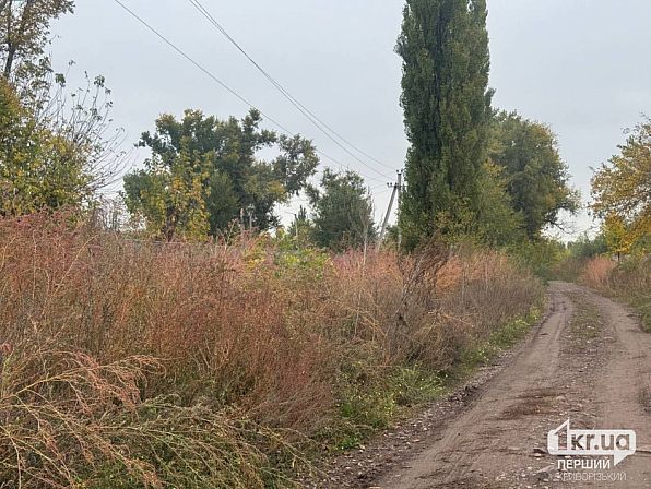 Грунтова дорога без асфальтового покриття та високі бур'яни у Довгинцівському районі Кривого Рогу