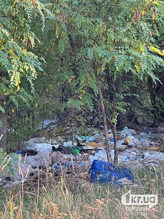 Стихійне сміттєзвалище з пластиковими пляшками, пакетами та побутовими відходами серед дерев у Довгинцівському районі Кривого Рогу