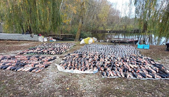 Понад 6 тонн незаконно виловленої риби розклали на березі Південного водосховища у Криворізькому районі