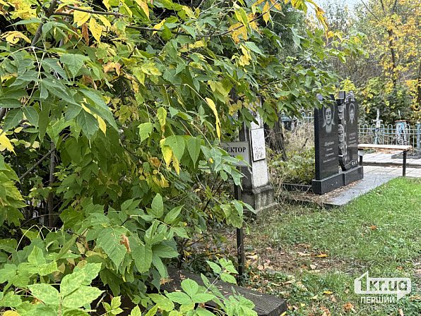 Густые кустарники и деревья разрослись возле могил на Северо-Долгинцевском кладбище в Кривом Роге, частично закрывая надгробия