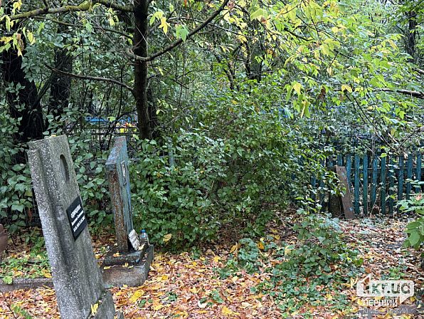 Старые надгробия и ограды почти не видны из-за густых зарослей деревьев и кустарников на Северо-Долгинцевском кладбище