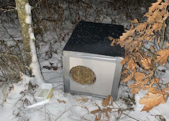 будка зимой