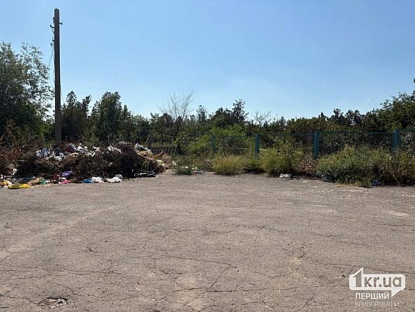 Мусор и сухие ветки возле Ново-Парадовского кладбища в Кривом Роге