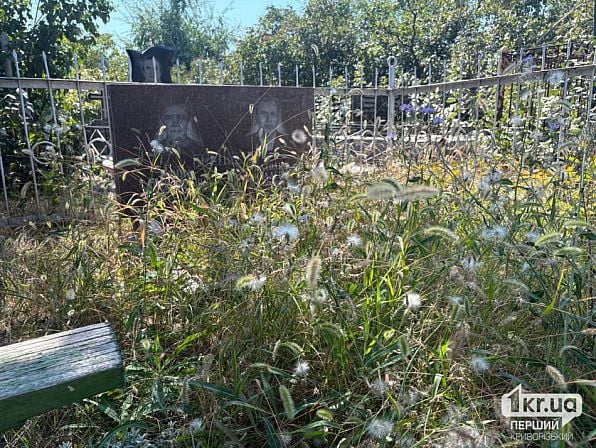 Могила среди высокой травы на Ново-Парадовском кладбище в Кривом Роге