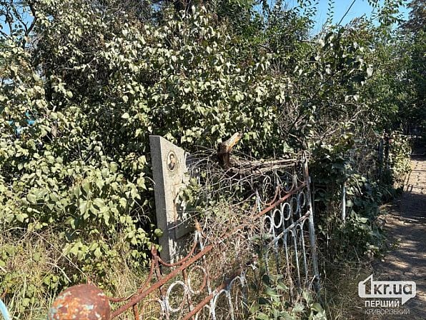 Могила и ограда, заросшие кустами на Ново-Парадовском кладбище
