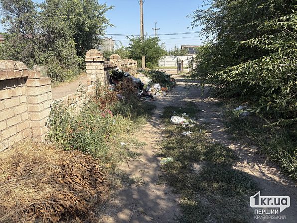 Кучи мусора, веток и сухой растительности вдоль ограды Широковского кладбища в Кривом Роге