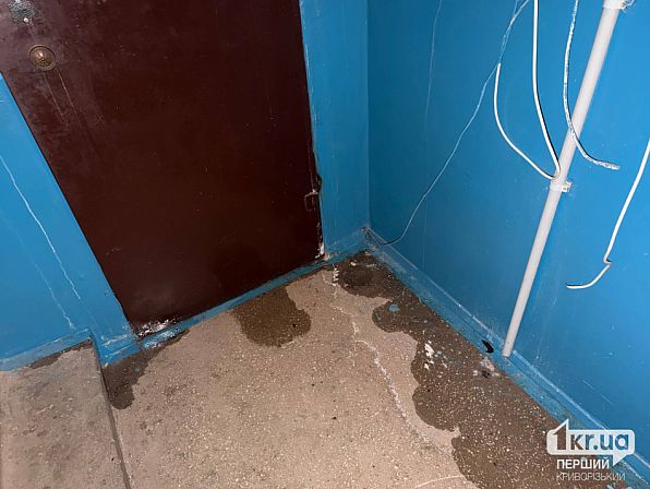 Лужи воды возле двери квартиры в первом подъезде дома на улице Алексея Резниченко