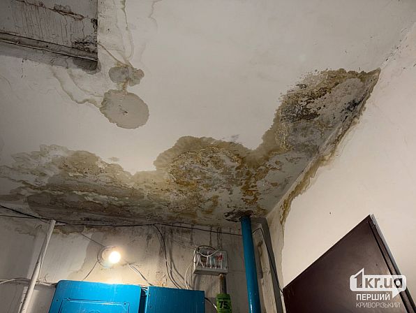 Поврежденный влагой потолок, темные пятна и провода в первом подъезде на улице Алексея Резниченко