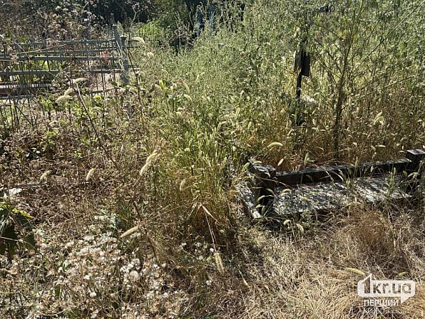 Могилы среди высокой травы и сорняков на Зелено-Гаевском кладбище в Кривом Роге