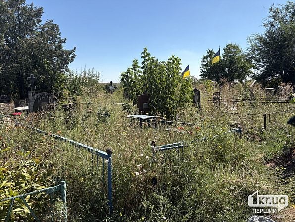 Заросшие травой могилы и украинские флаги на Зелено-Гаевском кладбище в Кривом Роге