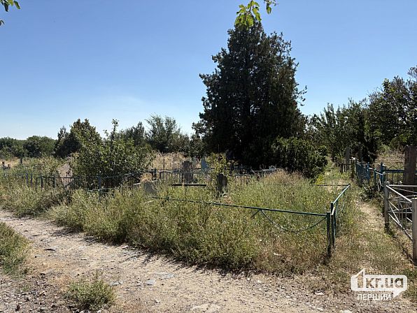 Могилы и ограждения среди высокой травы на Зелено-Гаевском кладбище в Кривом Роге