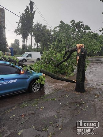 Большое фото