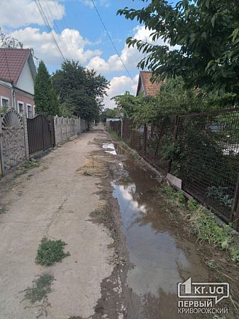 Большое фото