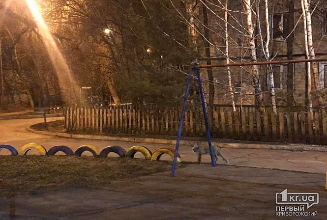 Загрузка фото