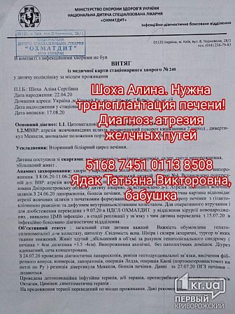 Большое фото